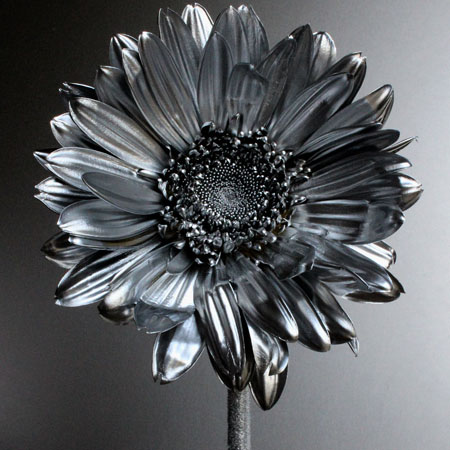 http://www.tallerbdn.cat/wp-content/uploads/2017/01/Full-Metal-Jacket_Gerbera-2013.jpg